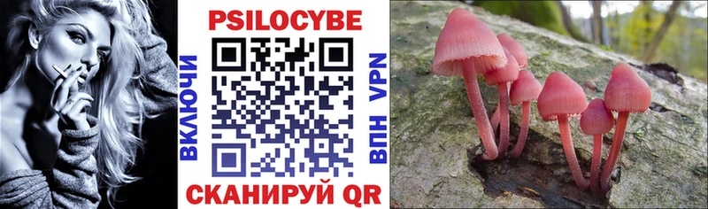 где продают Серпухов Галлюциногенные грибы GOLDEN TEACHER
